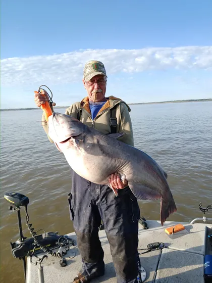 Blue catfish caught on Milford Lake with Todd's Blue Cat Guide Service