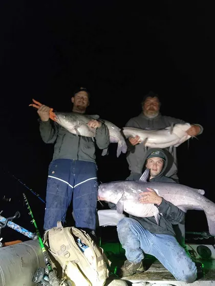 Blue catfish caught on Milford Lake with Todd's Blue Cat Guide Service